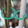 thumbnail image 4 of Clips para plantas de jardín, soporte para plantas, clips para invernadero, soporte para plantas al aire libre para cultivar verduras, uvas, tomates, accesorios de jardinería, verde, 100 piezas, 4 of 5