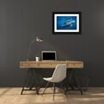 thumbnail image 3 of Gabriel, Barathieu 14x11 Black Ornate Wood Framed with Double Matting Museum Art Print Titled - Dolphin At The Surface, 3 of 4