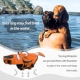 thumbnail image 2 of Chaleco salvavidas para perros DENTRUN, chalecos de seguridad para peces payaso nadando, 2 of 9