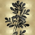 thumbnail image 2 of Carson, Danielle 20x20 Gold Ornate Wood Framed with Double Matting Museum Art Print Titled - Nature Black on Gold II, 2 of 4
