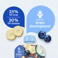 thumbnail image 4 of Gerber Toddler Food, Banana Blueberry, Fruit Puree, Yogurt & Whole Grains Pouches 3.5 oz, 4 of 15