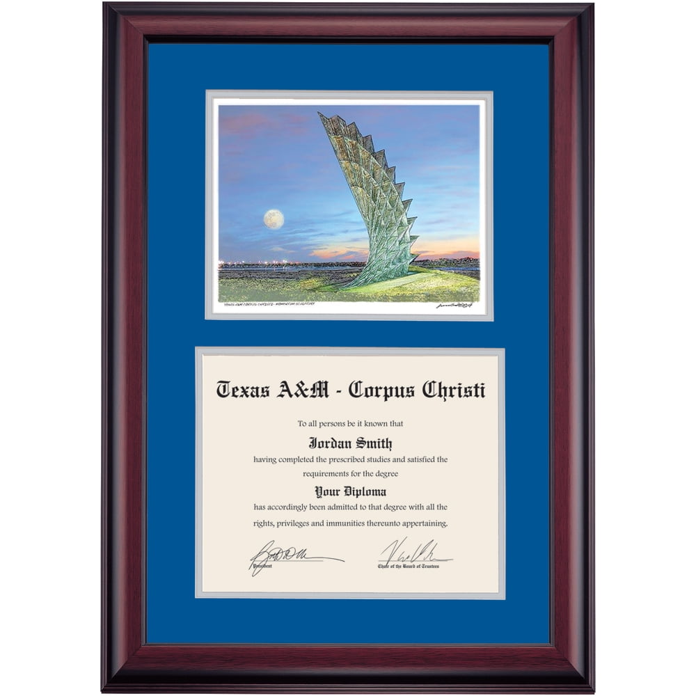 OCM Diploma Frame for Texas A&M Corpus Christi TAMUCC, Royal Blue/Gray Mat with Momentum