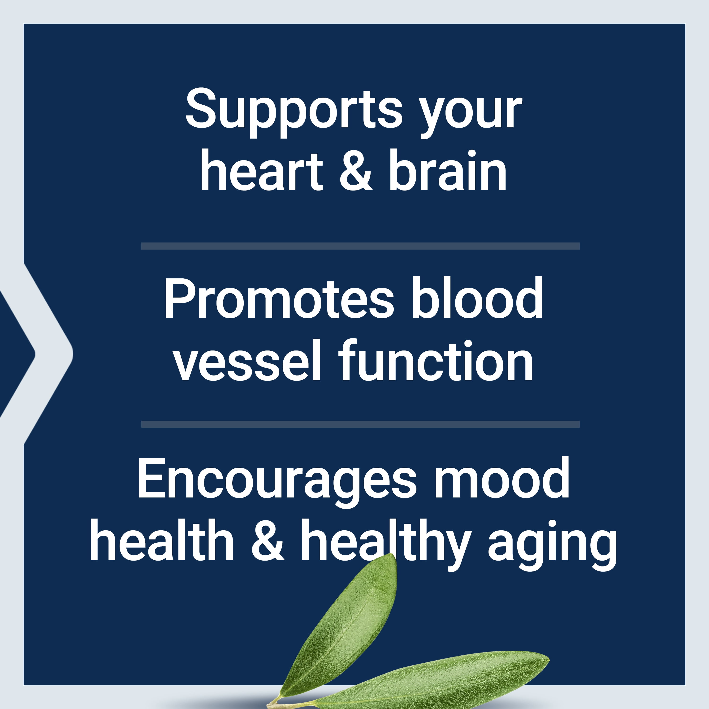 Life Extension Super Omega-3 EPA/DHA Fish Oil, Sesame Lignans & Olive Extract – Heart Health, Brain Health, Inflammation Health Support, Gluten-Free, Enteric-Coated, Non-GMO, 120 Softgels