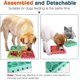 thumbnail image 4 of Cuenco interactivo para perros Cuenco de comida de alimentación lenta Cuenco ecológico con ventosa para perros Gatos Baño Lavado Ducha Entrenamiento Distracción Más interactivo Ormromra LL-1685, 4 of 6