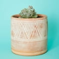 thumbnail image 4 of Cylindrical Terracotta Pot Set, 4 of 4
