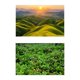 thumbnail image 1 of Fondo fotográfico de 57x87 cm con paisaje natural, doble cara. Estilo E, 1 of 9