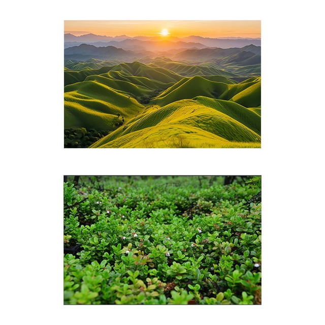 Fondo de telón de fondo de fotografía fondo de doble cara 57x87cm Muestra la decoración de accesorios de fotos para libros revistas imágenes Estilo E