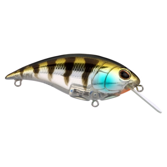 Berkley Shallow Money Badger Fishing Crankbait, 2.6 in, Hybrid Baitfish-Crayfish