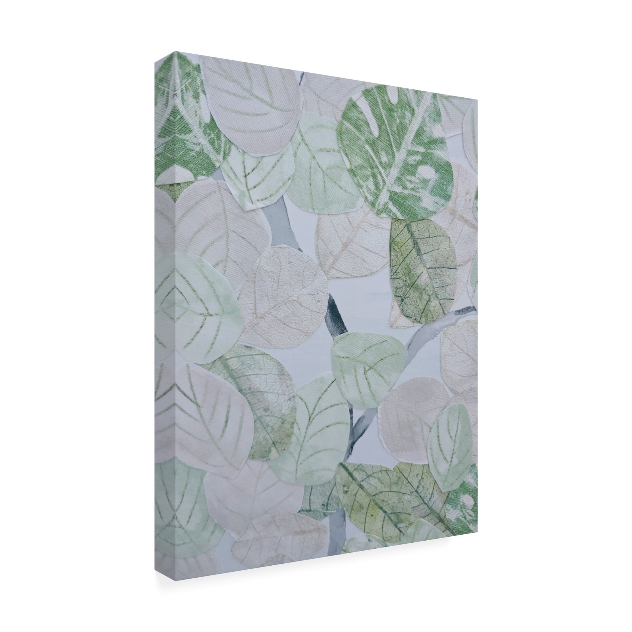 Trademark Fine Art Coco Good  Aspen Spring Leaves I Canvas Wall Art