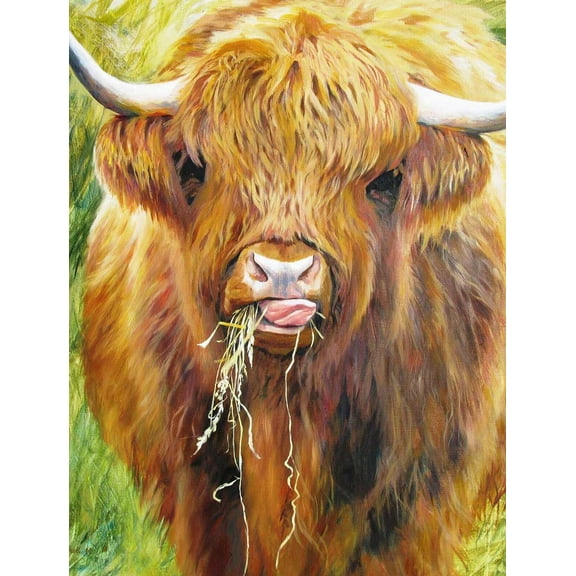 Highland Cow, a 1000-piece Puzzle by Map Marketing