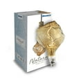 thumbnail image 3 of Bulbrite  Single 4 Watt Dimmable Antique Grand Nostalgic Medium (E26) LED Bulb Iceberg, 3 of 5