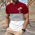 thumbnail image 2 of Mens Casual Pantalones Cortos Cuello Redondo Patchwork Impresión Suéter Blusa de Fitness, Camisetas para Hombre, 2 of 4