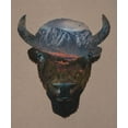 thumbnail image 2 of Davies Babies 26x30 White Modern Wood Framed Museum Art Print Titled - Bison Peak, 2 of 4