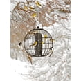 thumbnail image 4 of Mixed Seed Globe Cage Feeder, 4 of 6