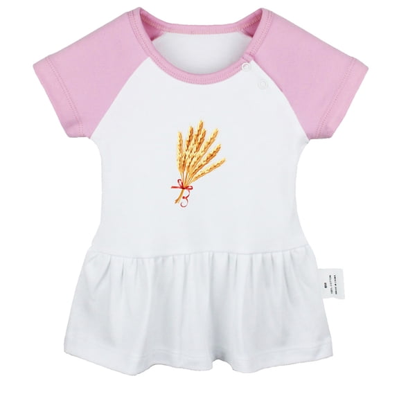 Nature Wheat Pattern Dresses For Baby, Newborn Babies Skirts, Infant Princess Dress, 0-24M Kids Graphic Clothes (Pink Raglan Dresses, 6-12 Months)