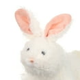 thumbnail image 4 of Ganz Stuffed Animals & Plush Toys, Webkinz Marshmallow Bunny, 4 of 5