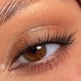 thumbnail image 4 of ColourPop 9 Pan Pressed Powder Palette, Going Coconuts, 4 of 8