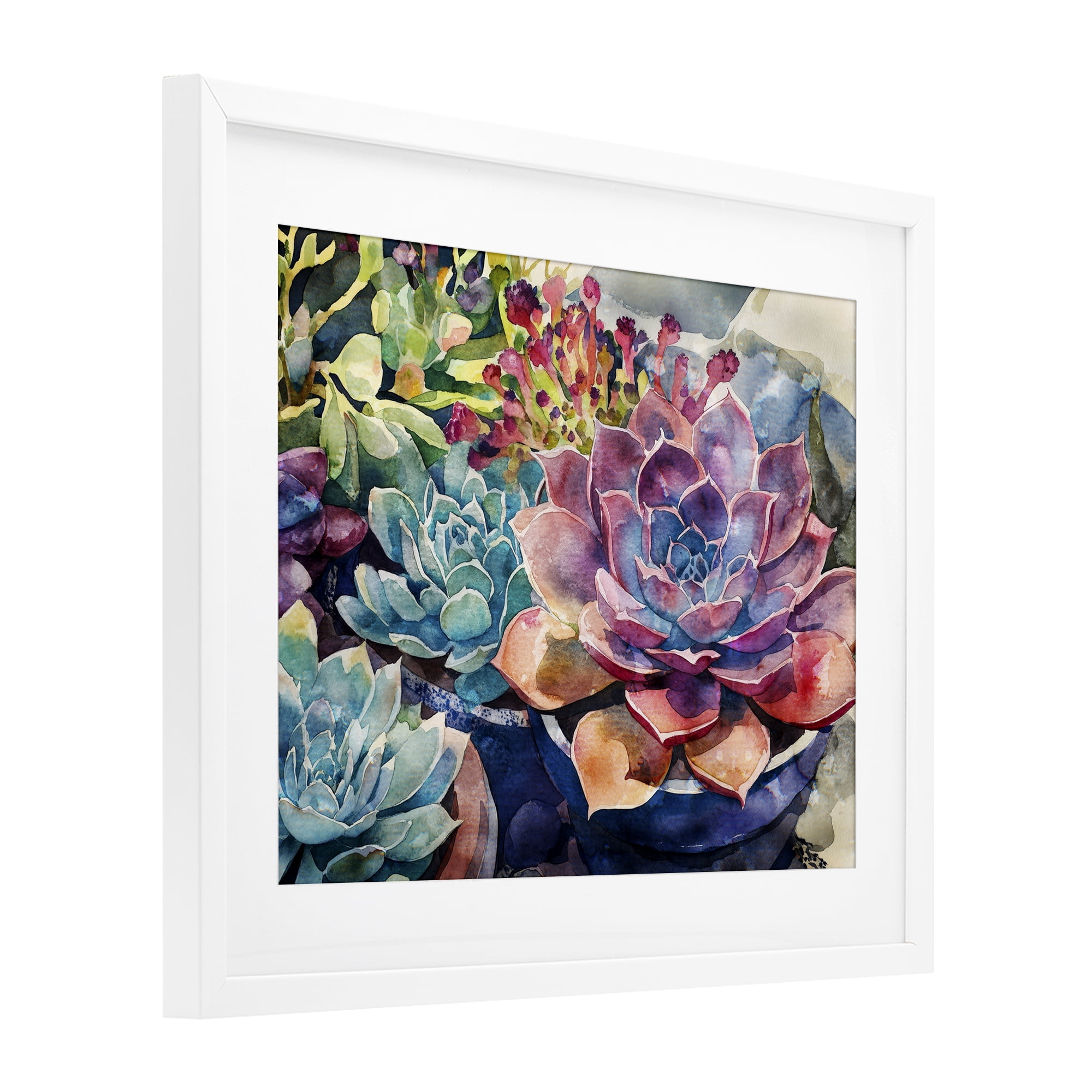 Stupell Industries Sun Kissed Succulents White Framed Print Under Glass, design by Svetlana Aleynikova
