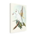 thumbnail image 2 of Trademark Fine Art 'Pastel Parrots II' Canvas Art by John Gould, 2 of 4