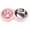 Pink, variant on Nib  Double Pet Dog Slow Feeder Bowl,Stainless Steel Anti-Choke Puppy Food and Water Feeder for Dogs Cats (Blue)