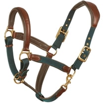 OVATION Luxor Cushion-Flex Horse Brown/Green Horse Halter (470809BRNGRHRSE)