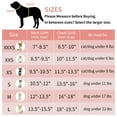thumbnail image 3 of AIITLE Adjustable Reflective Breathable Dog Harness Vest, No Pull, Escape Proof, with Leash, Small/Medium Dogs, Turquoise-Pink, M, 3 of 8