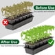 thumbnail image 3 of Bandeja de Semillas para Iniciar Semillas (8 Unidades), 24 Celdas de Repuesto, Absorbente, Autorriego, para Jardinería B, 3 of 5