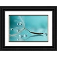 thumbnail image 1 of Barbieri, Rina 24x18 Black Ornate Wood Framed with Double Matting Museum Art Print Titled - Water, 1 of 4