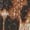 Leopard print suspen-L, variant on Fashionable Women's Shorts In Low Rise Styles With Sequins And Leopards Print Short Pant For Casual Or Party Wear