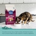 thumbnail image 5 of Natural Balance Original Ultra Chicken Meal & Salmon Meal Formula Dry Cat Food, 15 Pounds, 5 of 9