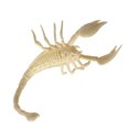 thumbnail image 3 of Modèle Animal en Plastique Simulation Dinosaure Réaliste Squelette Jouet Éducatif (Scorpion), 3 of 10