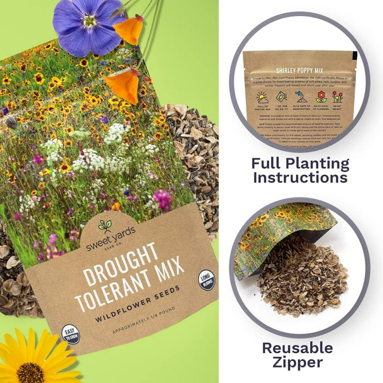 Bulk Flower Seeds South Africa Best Flower Site