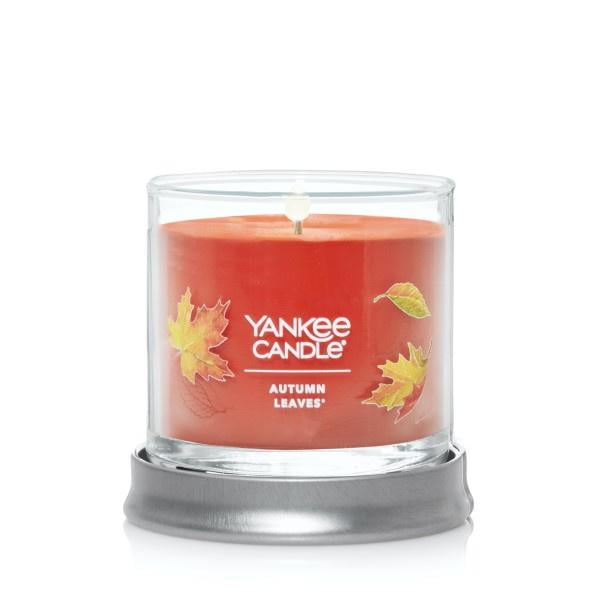 Yankee Candle Small Tumbler Scented Single Wick Jar Candle, Autumn Leaves, 4.3 oz (Pack of 2)