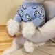 thumbnail image 5 of Ropa para perros de conejo azul Suéter de punto para mascotas Ropa de otoño e invierno Camisa de fondo para gatos de peluche Suéter cálido para cachorros XS-XL, 5 of 5