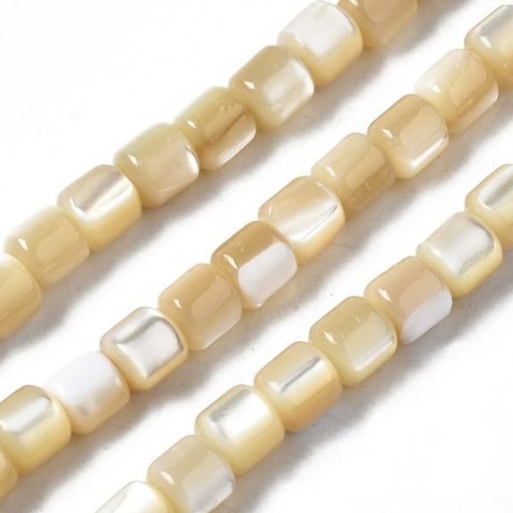 2Strand Natural Trochid Shell/Trochus Shell Beads Strands Column 3.5x3.5mm Hole: 1mm about 111~117pcs/strand 15.35 inch~15.94 inch(39~40.5cm)