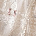 thumbnail image 4 of Wancir Womens Sexy Underwear Lace Panties High Waisted Plus Size Ladies Brief for Women, 4 of 4