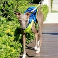 thumbnail image 4 of HQREA Summer Sleeveless Dog T-Shirt, Breathable Dog Tank Tops for Italian Greyhound & Whippet, 4 of 6
