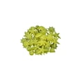 thumbnail image 2 of BiFandian 50PCS Luminous Aquarium Stones, Glow in The Dark Conch Starfish Pebbles, Glowing Rocks Fish Tank Decor for Pool Aquarium Pots Pond Walkway Driveway Garden Decoration Indoor Outdoor, 2 of 6