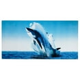 thumbnail image 2 of Kaufman 2 Pack Shark Beach Towel / Bath Towel Size 30" x 60, 2 of 3