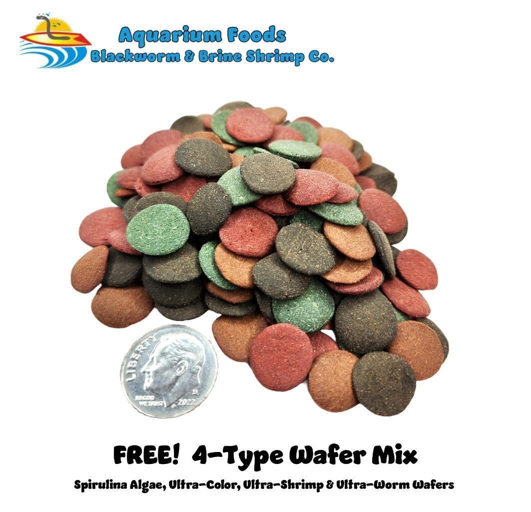 PREMIUM MARINE FISH FLAKE FOOD - FREE SINKING AND FLOATING PELLETS INCLUDED! AFI...5-lb