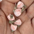 thumbnail image 6 of ACC RIB ROSE PK 30PC, 6 of 6