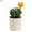 Style#11, variant on Visland Artificial Cactus Plants, Mini Fake Desert Plants in White Pots