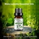 thumbnail image 2 of 6PCS Water Soluble Aromatherapy Essential Oil for Humidifiers 10ML, 2 of 4