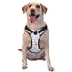 thumbnail image 1 of Fotbe Dinosaur Arnés para Perro con Estampado –Chaleco Ajustable Acolchado con Asa de Control para Perros Grandes-Large, 1 of 6