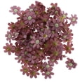 thumbnail image 2 of 100pcs Cabezas De Flores De Margaritas Artificiales Sunnimix Decoración De La Boda Flor de Margarita de seda artificial, 2 of 8