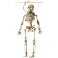 thumbnail image 2 of Skeleton, 2 of 2