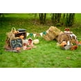thumbnail image 2 of BSDHOME 7x5t Photography Backdrop Rural Green Grass Pumpkin Autumn Harvest Scene Halloween Photo Background Backdrops, 2 of 4