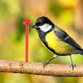 thumbnail image 2 of 10 Pcs Support Universel pour Perchoirs de Cage à Oiseaux Canari Pingouin, 2 of 8