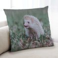 thumbnail image 1 of Ahgly Company Animals Hedgehog Indoor Throw Pillow, 18 inch by 18 inch, 1 of 6