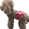 thumbnail image 2 of Shulemin Useful Dog Shorts Comfortable   for Family   No Stuffiness, 2 of 7